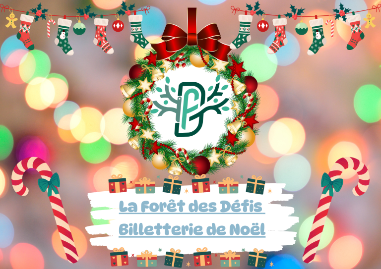 Visuel Billetterie Noël 2024